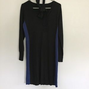 Ann Taylor Sweater Dress